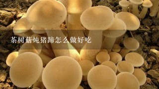 茶树菇炖猪蹄怎么做好吃