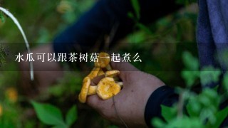 水瓜可以跟茶树菇一起煮么