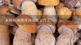 茶树菇炖排骨汤还能放什么
