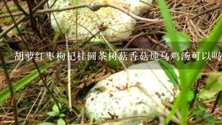 胡萝红枣枸杞桂圆茶树菇香菇炖乌鸡汤可以吗