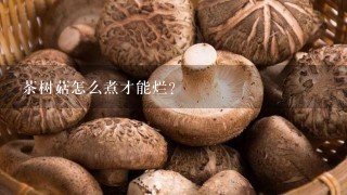 茶树菇怎么煮才能烂？