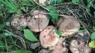 鹿茸怎么吃好？