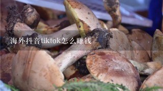 海外抖音tiktok怎么赚钱