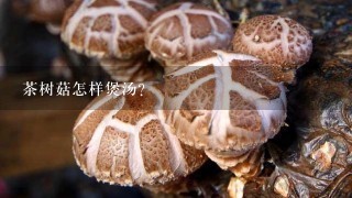 茶树菇怎样煲汤?