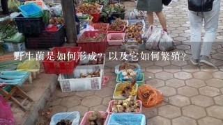 野生菌是如何形成？以及它如何繁殖？