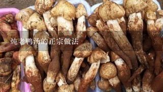 炖老鸭汤的正宗做法