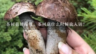 茶树菇炖排骨，茶树菇什么时候放入锅？