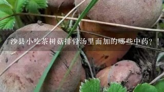 沙县小吃茶树菇排骨汤里面加的哪些中药？！