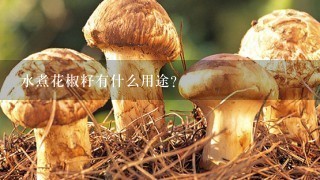 水煮花椒籽有什么用途?