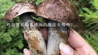 鸡肉煲五指毛桃汤的做法有哪些？