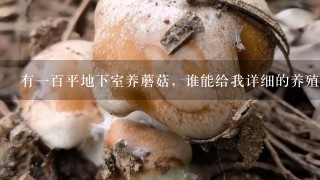 有一百平地下室养蘑菇，谁能给我详细的养殖方法和技术？