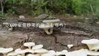 500种家常炒菜的做法有哪些?