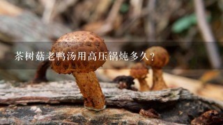 茶树菇老鸭汤用高压锅炖多久?