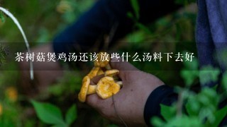 茶树菇煲鸡汤还该放些什么汤料下去好