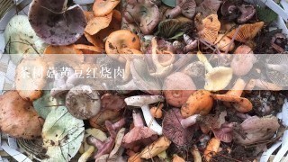 茶树菇黄豆红烧肉