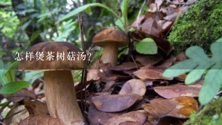 怎样煲茶树菇汤？