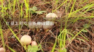 红菇怎样吃营养价值最高