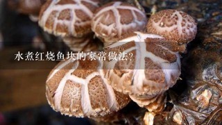 水煮红烧鱼块的家常做法？