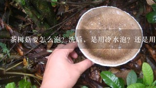 茶树菇要怎么泡？洗后，是用冷水泡？还是用温水泡？还是不用泡？如果要泡的话，那么泡的水有用吗？