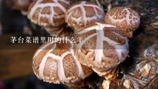 茅台菜谱里用的什么羊