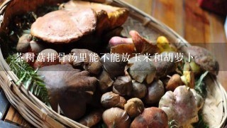 茶树菇排骨汤里能不能放玉米和胡萝卜