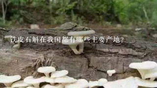 铁皮石斛在我国都有哪些主要产地？