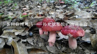 茶树菇炖鸡汤——补充氨基酸矿物质丰富