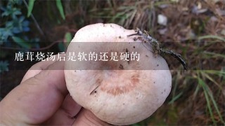 鹿茸烧汤后是软的还是硬的