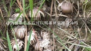 心肌梗塞手术后可以喝茶树菇排骨汤吗