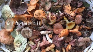 关于食用菌的资料