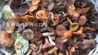 茶树菇炖牛肉可以吗