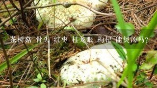 茶树菇 骨头 红枣 桂龙眼 枸杞 能煲汤吗?