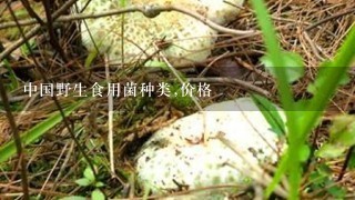 中国野生食用菌种类,价格