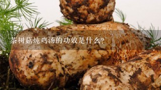 茶树菇炖鸡汤的功效是什么？