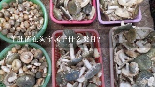 羊肚菌在淘宝属于什么类目？