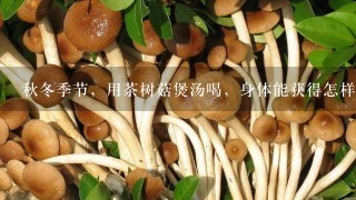 秋冬季节，用茶树菇煲汤喝，身体能获得怎样的好处？