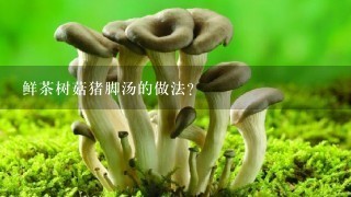 鲜茶树菇猪脚汤的做法？