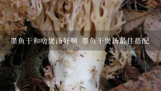 墨鱼干和啥煲汤好啊 墨鱼干煲汤最佳搭配