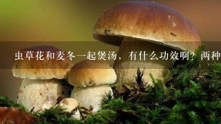 虫草花和麦冬一起煲汤，有什么功效啊？两种药材可以一起煲汤喝吗？高血压的老人能喝吗？孕妇能喝吗？