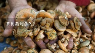 茶树菇炖多久？