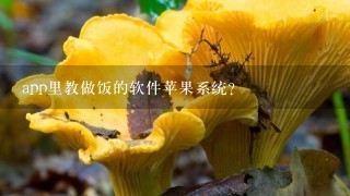 app里教做饭的软件苹果系统？