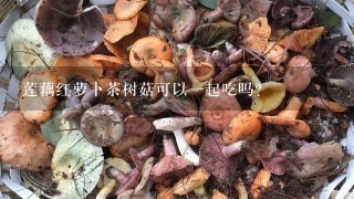 莲藕红萝卜茶树菇可以一起吃吗?