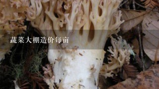 蔬菜大棚造价每亩