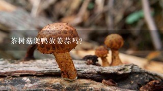 茶树菇煲鸭放姜蒜吗？