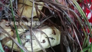 怎样烧干锅茶树菇