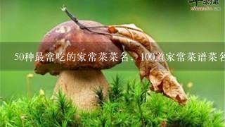 50种最常吃的家常菜菜名，100道家常菜谱菜名有什么