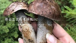 蘑菇怎么炸才酥脆m？