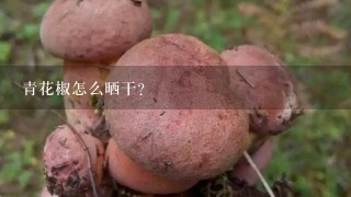 青花椒怎么晒干？