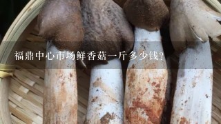 福鼎中心市场鲜香菇一斤多少钱?