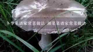 冬季菜谱家常菜做法 湘菜菜谱家常菜做法